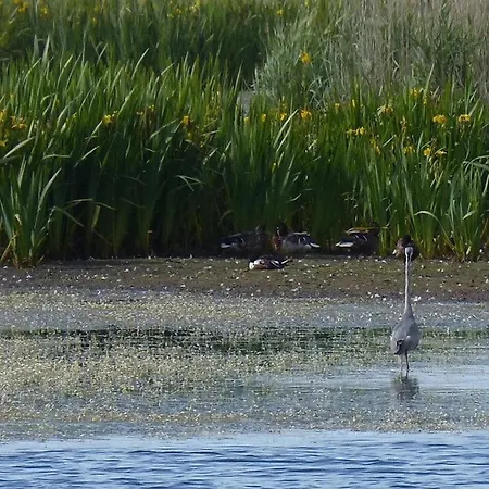 Le Nid Vauville בית נופש