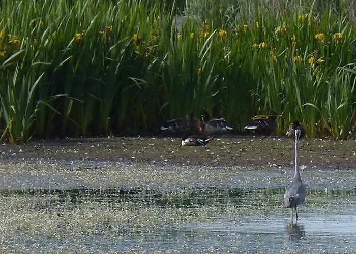 Le Nid Vauville Feriehus