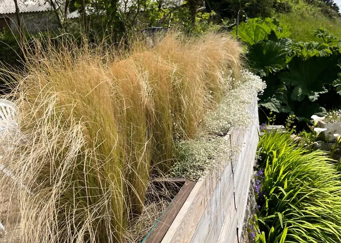 Feriehus Le Nid Vauville *